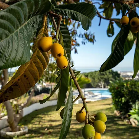 Vila De Luxe Avec Vue Epoustouflante *